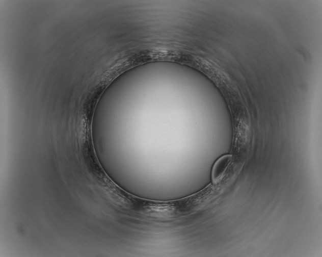 X0000113130659200909181710