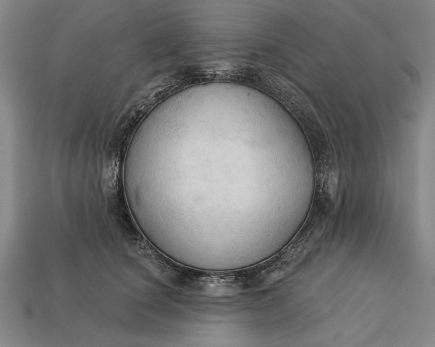 X0000113130660200909181710