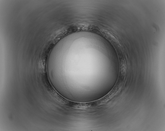 X0000113130661200909181710