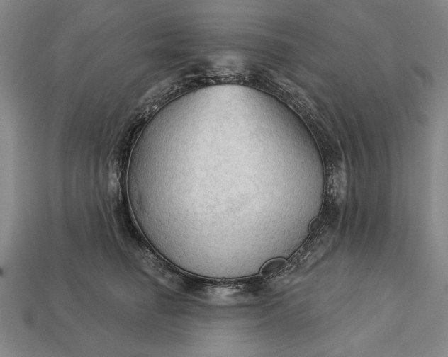 X0000113130662200909181710