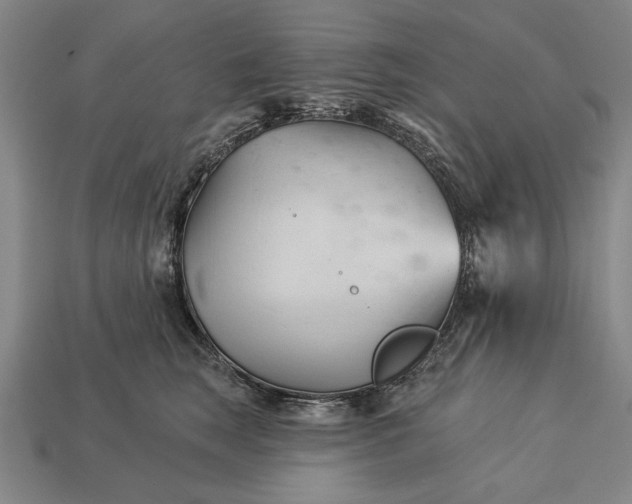 X0000113130663200909181710