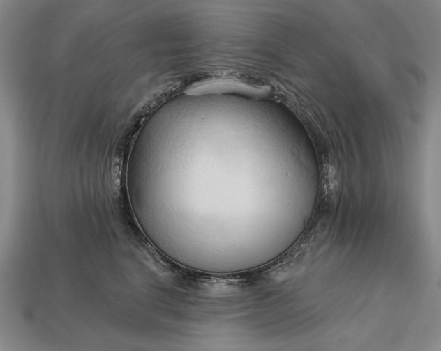 X0000113130664200909181710