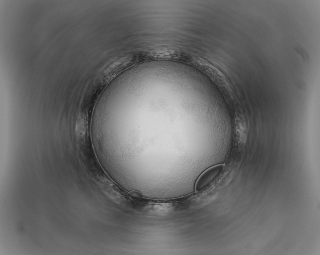 X0000113130665200909181710