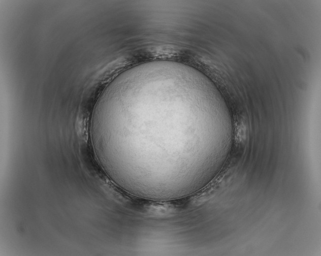 X0000113130666200909181710