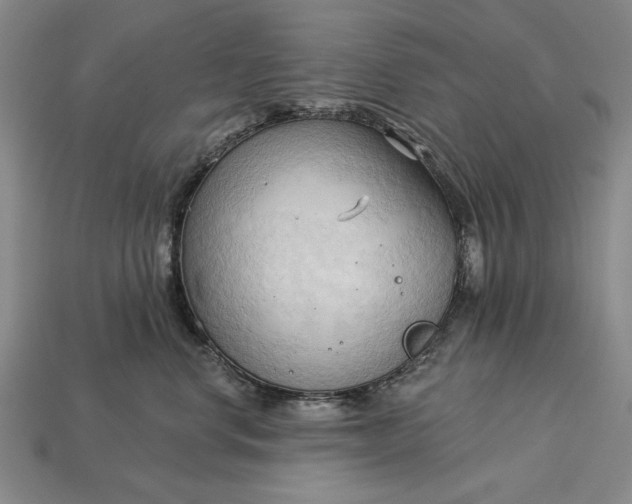 X0000113130668200909181710