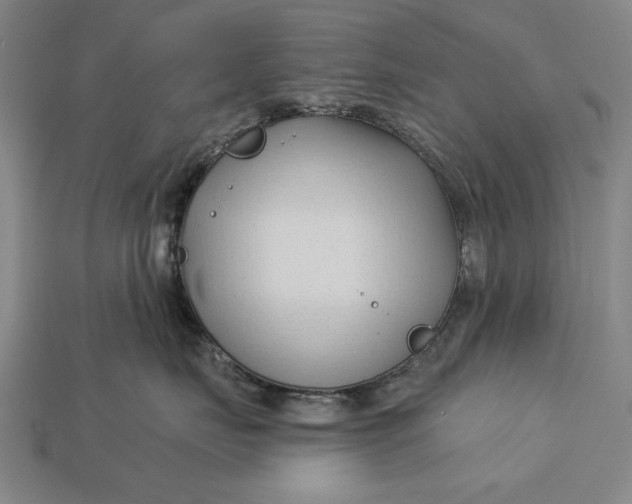 X0000113130671200909181710