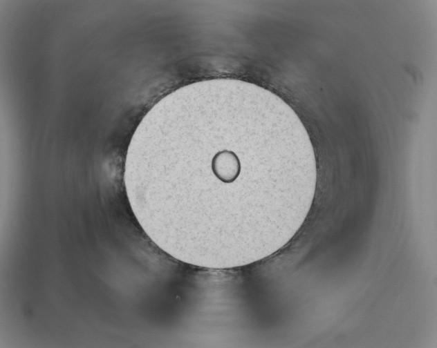 X0000113130672200909181710