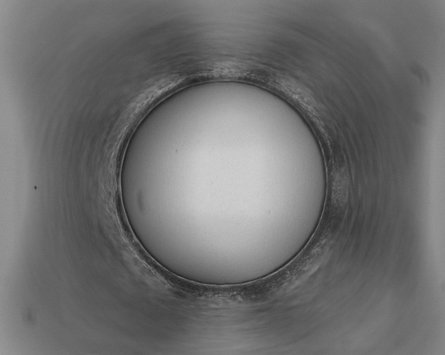 X0000113130673200909181710