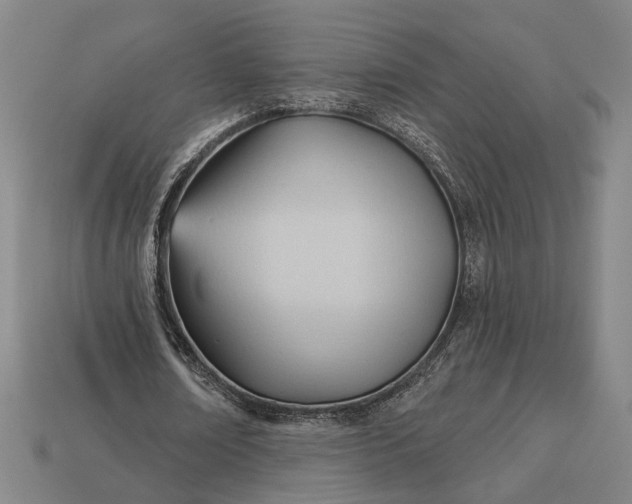 X0000113130674200909181710