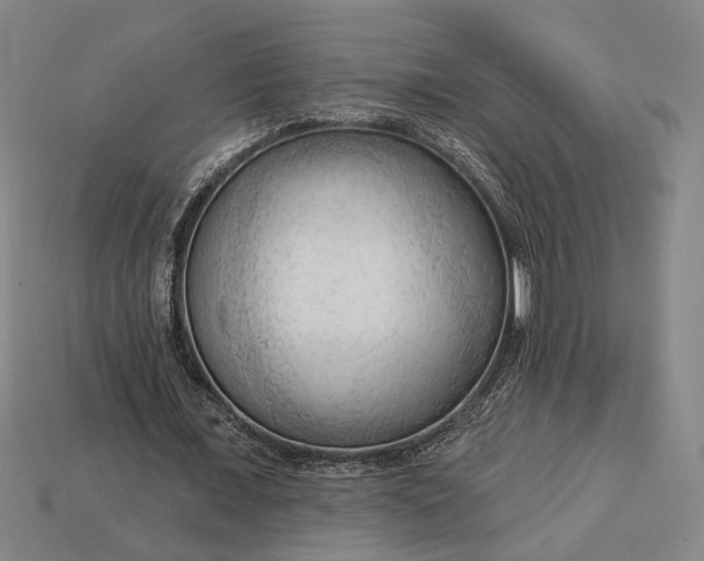 X0000113130675200909181710