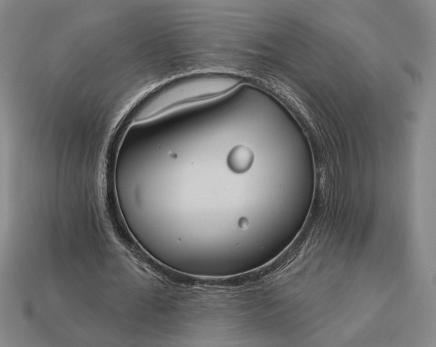 X0000113130676200909181710