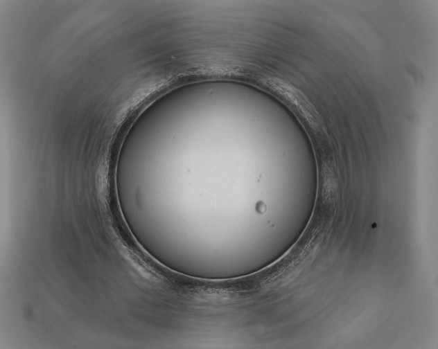 X0000113130677200909181710