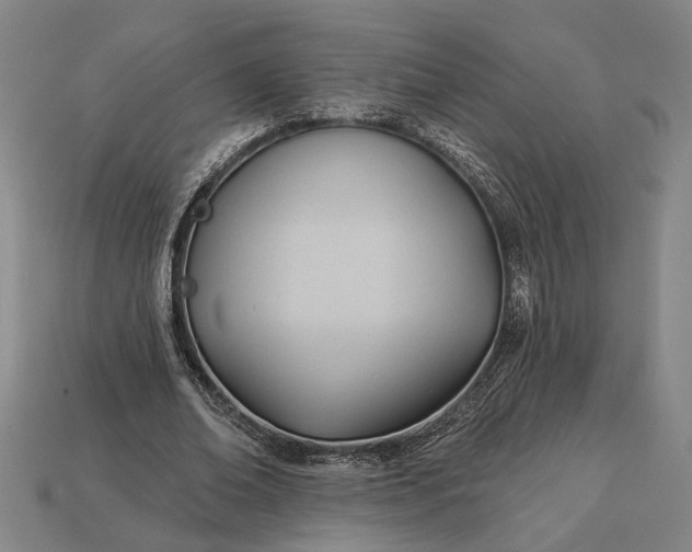 X0000113130678200909181710