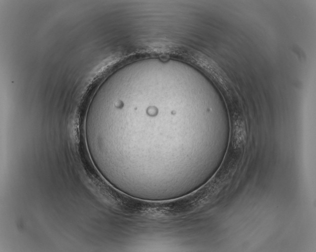 X0000113130680200909181710