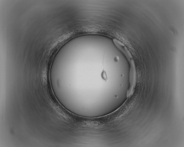 X0000113130681200909181710