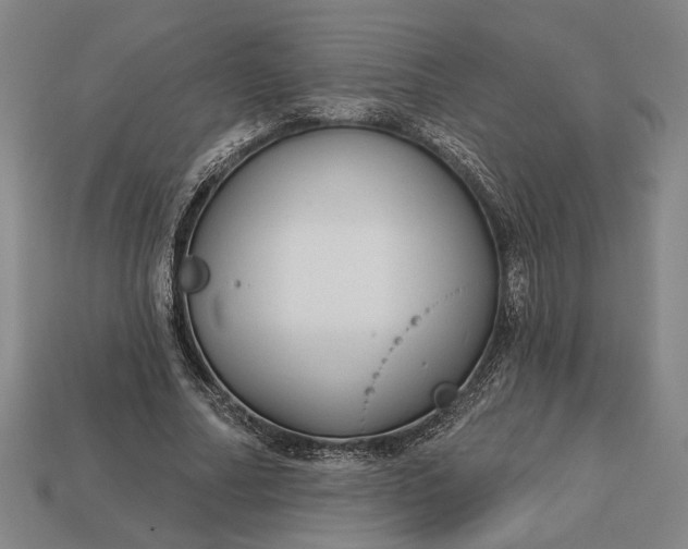 X0000113130682200909181710