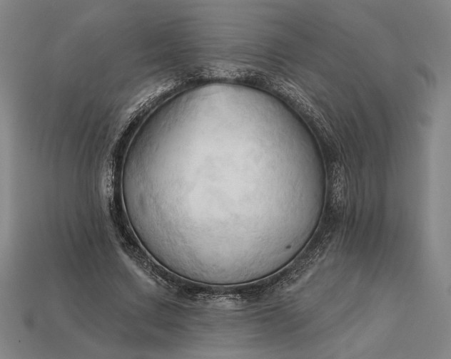 X0000113130683200909181710