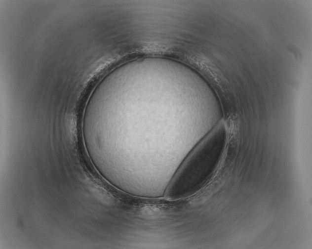 X0000113130684200909181710