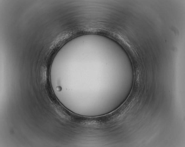 X0000113130685200909181710