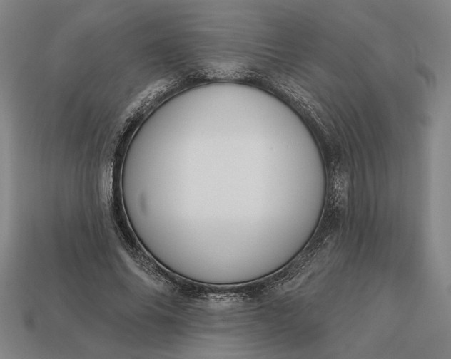 X0000113130686200909181710