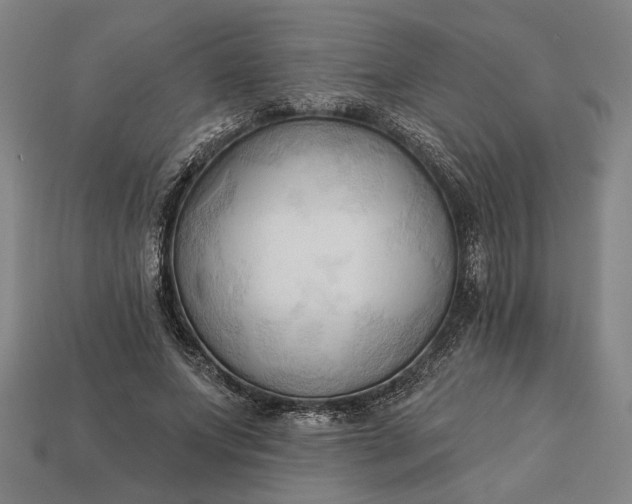 X0000113130687200909181710