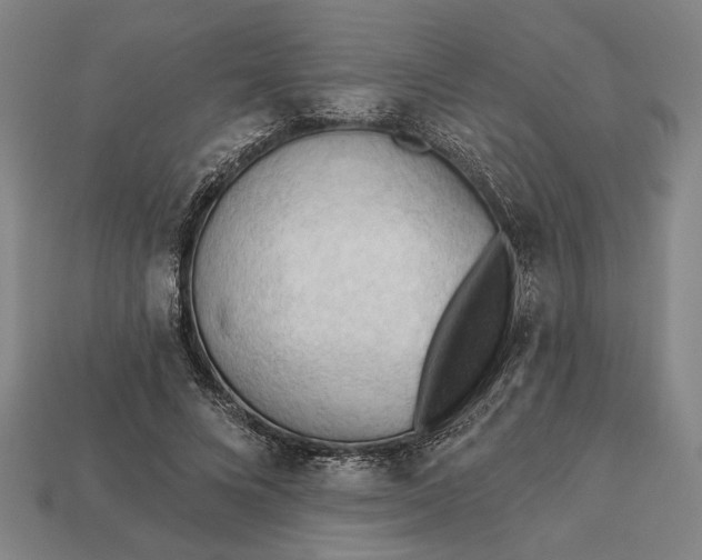 X0000113130688200909181710