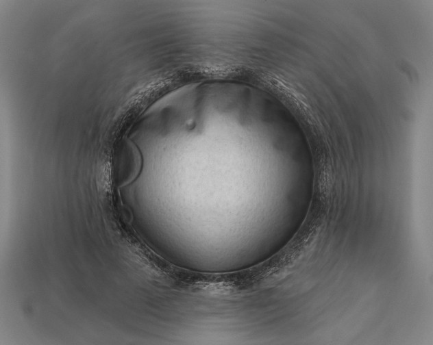 X0000113130689200909181710