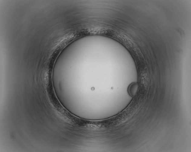 X0000113130690200909181710