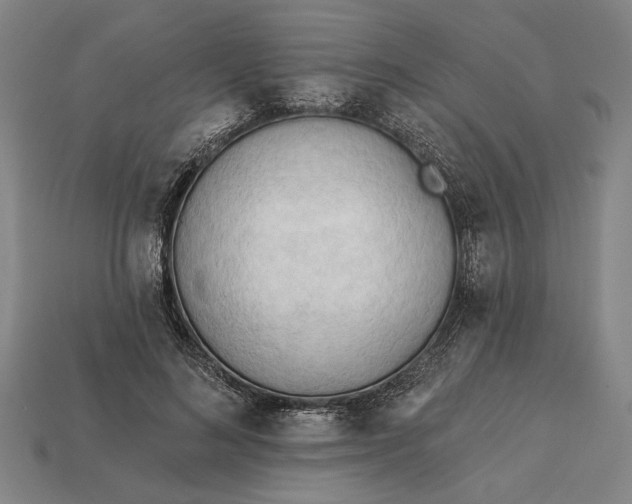 X0000113130692200909181710