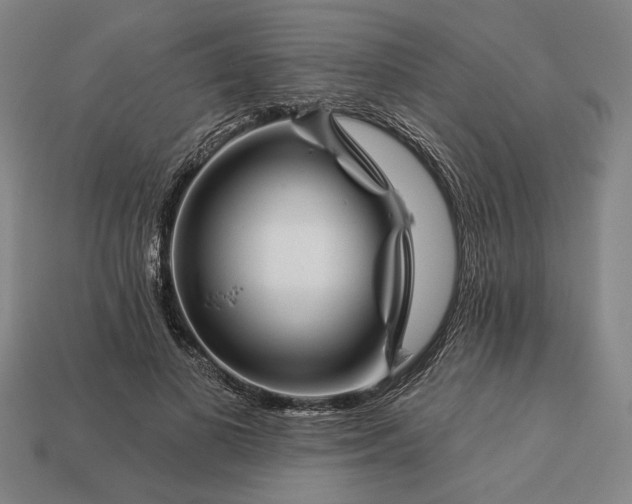 X0000113130693200909181710