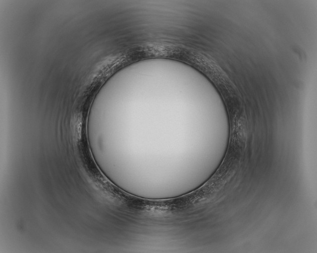 X0000113130694200909181710