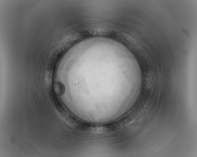 X0000113130695200909181710