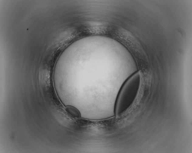 X0000113130696200909181710