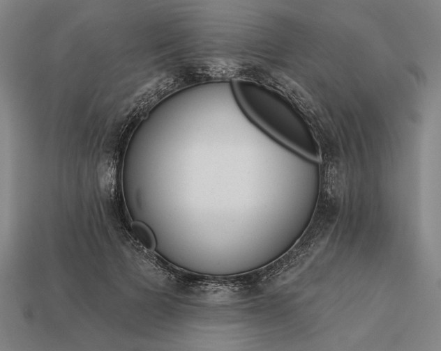 X0000113130697200909181710