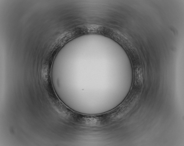 X0000113130698200909181709