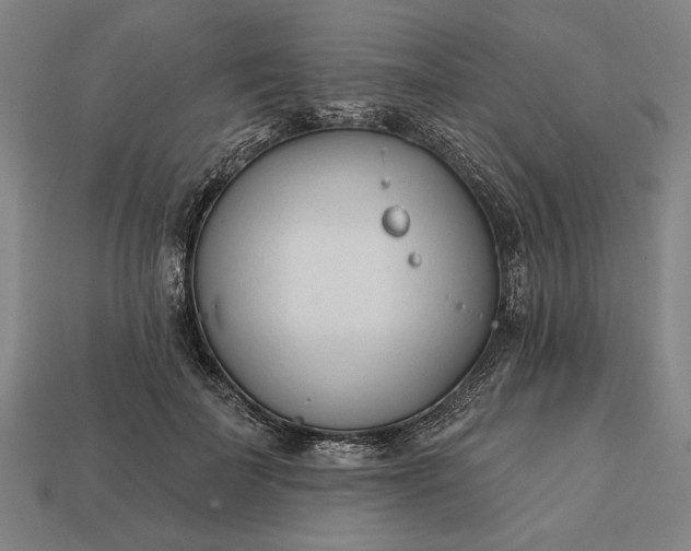 X0000113130699200909181709