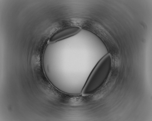 X0000113130700200909181709