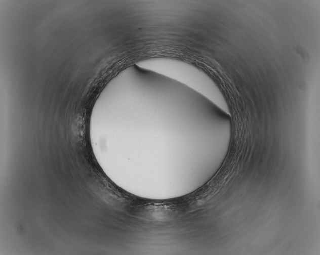 X0000113130701200909181709