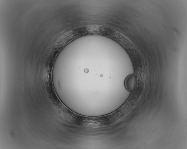 X0000113130702200909181709