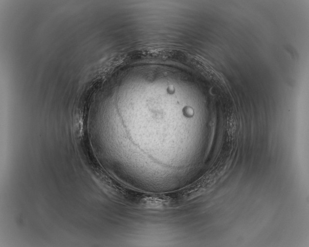 X0000113130703200909181709