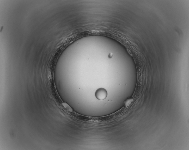 X0000113130704200909181709