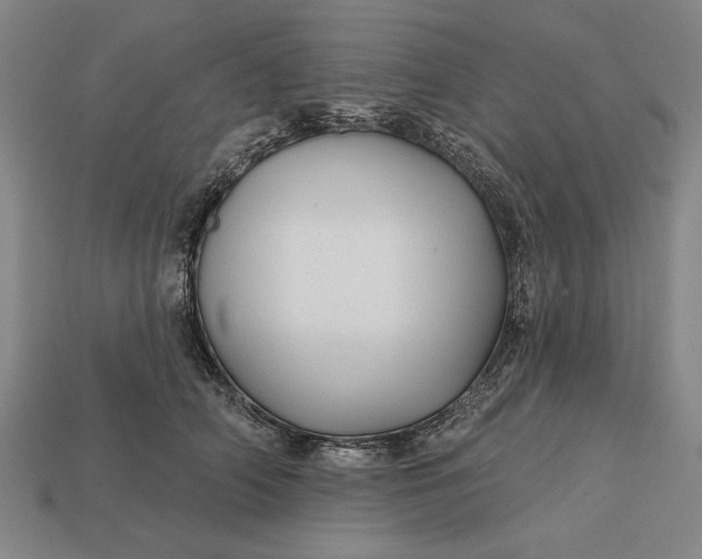 X0000113130706200909181709