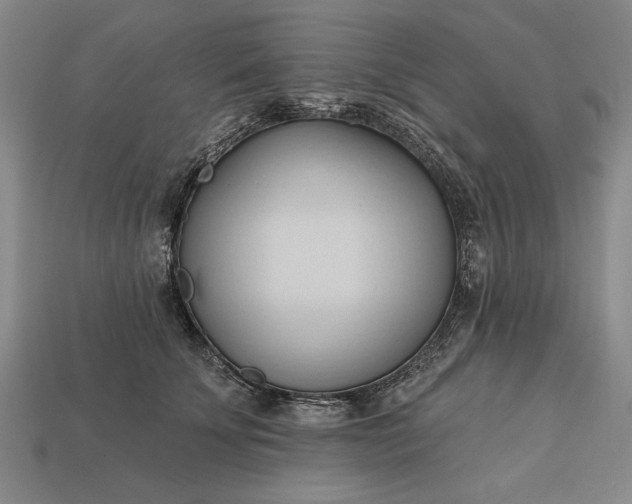 X0000113130707200909181709