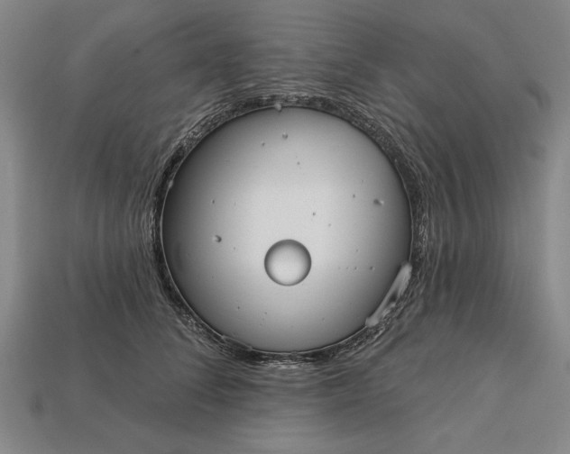 X0000113130708200909181709