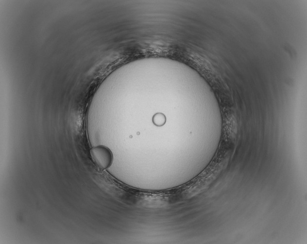 X0000113130709200909181709