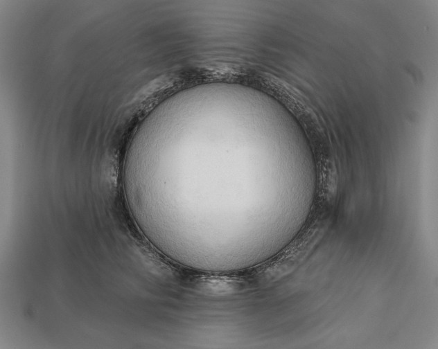 X0000113130710200909181709