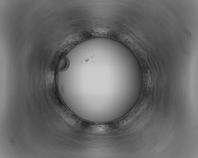 X0000113130711200909181709