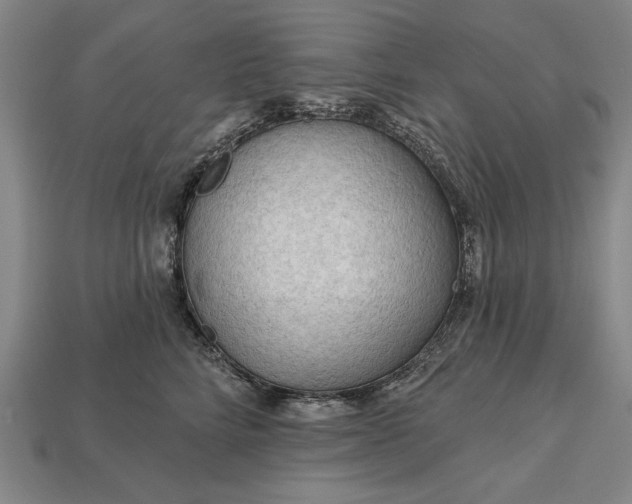 X0000113130712200909181709