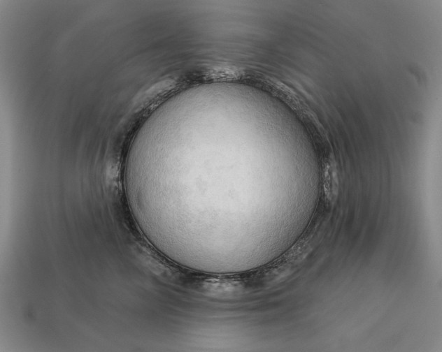 X0000113130714200909181709