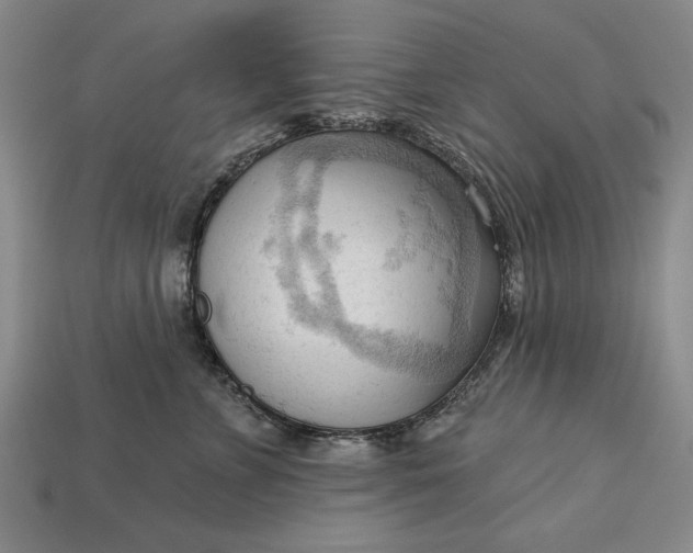 X0000113130715200909181709